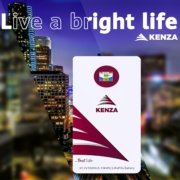 Kenza lithium-ion battery7